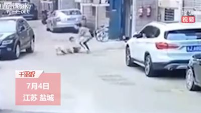 لحظة هجوم كلب ضخم على امرأة (فيديو)