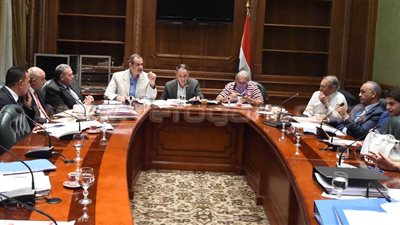 غدا.. اجتماع لجنة «تقصي حقائق القمح»