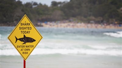 طائرات دون طيار أسترالية تراقب أسماك القرش