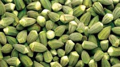 «البامية» تسجل 9 جنيهات بسوق العبور