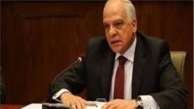 محافظ الجيزة: إطلاق مبادرة 