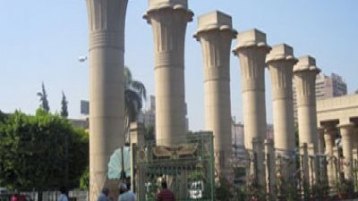 ننشر خطة «زراعة عين شمس» لتدريب الطلاب