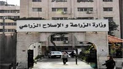 الزراع تحيل ملف التأمين على الماشية للنيابة.. رئيسته السابقة تقاضت قرابة مليوني جنيه في 11 شهرا