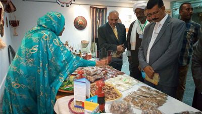 بالصور.. احتفالية فنية بمناسبة افتتاح مهرجان طيبة الدولي بأسوان