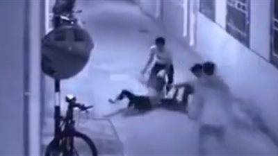 لقطات صادمة للحظة سقوط امرأة من نافذة منزلها (فيديو)