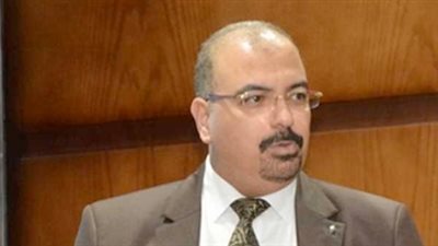 علاء زهران: انخفاض نشاط الاستثمار الأجنبي المباشر في 2017