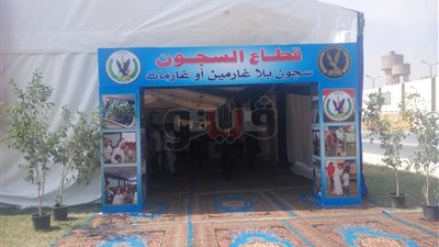 المفرج عنهم بالعفو الرئاسي يرقصون على أنغام «تسلم الأيادي» (فيديو)