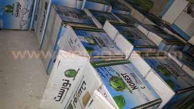 إحباط تهريب 80 ألف قطعة أدوات صحية بجمارك بورسعيد