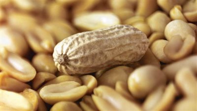 فوائد الفول السوداني.. يحميك من الأنيميا والشيخوخة وأمراض القلب