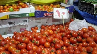 قراء «فيتو» يتوقعون فشل «الزراعة» في حل أزمة الطماطم