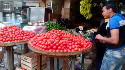 تجار: الاستيراد ليس حلا لاحتواء أسعار الطماطم (صور)