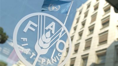 فاو تنظم ورشة عمل مع المركزي للإحصاء لتنفيذ أهداف إستراتيجية التنمية المستدامة