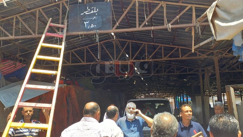 فيتو