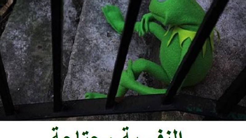 فيتو
