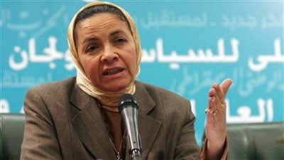 يمن الحماقي: لا توجد آلية عمل واضحة للمؤسسات الأهلية في مصر