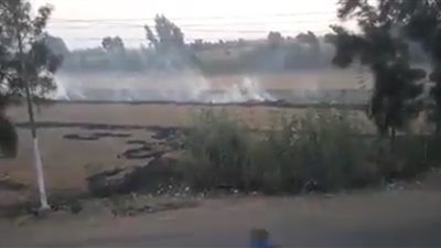 أهالي «شبرابابل» بالمحلة يختنقون من السحابة السوداء