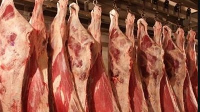 استقرار أسعار اللحوم والأسماك بسوق العبور