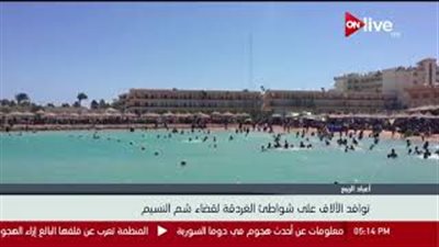 احتفال «عائلي» بشم النسيم على شواطئ الغردقة (فيديو)