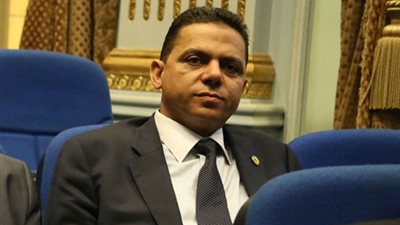 نائب: التصالح في التعديات على الأراضي الزراعية إهدار لثروة البلاد