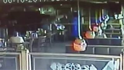 بالفيديو والصور.. غزالة تقتحم مطعما وتثير ذعر رواده