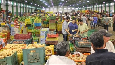 حماية المستهلك: حملات مكثفة على الأسواق لمنع التلاعب بالأسعار