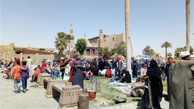 انتشار أسطوانات البوتاجاز بميدان أبو الحجاج في الأقصر (فيديو)