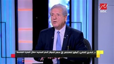 الفقي: انخفاض سعر الدولار مقابل الجنيه الفترة المقبلة (فيديو)