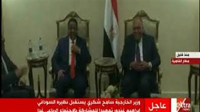 وزير الخارجية يستقبل نظيره السوداني بمطار القاهرة (فيديو)