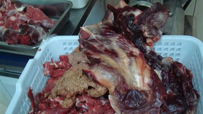 ضبط لحوم فاسدة خلال حملة تموينية بالشرقية