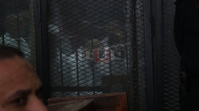 شاهد في «اقتحام السجون»: مخطط الجريمة استغرق 7 سنوات