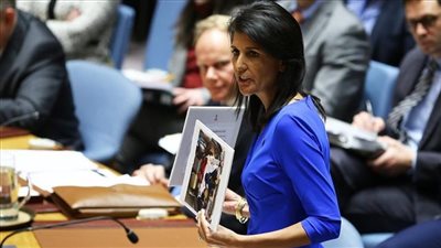 مندوبة واشنطن ترد على طلب «بوليفيا»في مجلس الأمن حول سوريا
