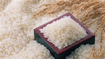 رئيس شركتي مضارب بلقاس ودمياط: 3750 جنيها سعر توريد طن الأرز الشعير