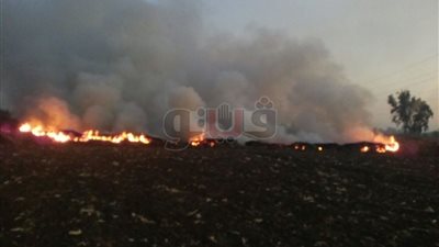 تحرير 1512 محضرا بيئيا منذ بدء حصاد الأرز في البحيرة