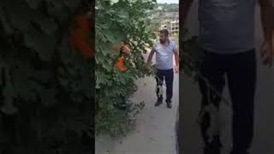 رد فعل صادم لرجل لمس شخصٌ من ذوي الاحتياجات سيارته (فيديو)