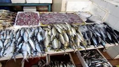 «صائدو دمياط»: 25% ارتفاعًا في أسعار الأسماك خلال عيد الفطر