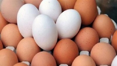 ارتفاع في أسعار البيض بالمزارع بعد زيادة الوقود
