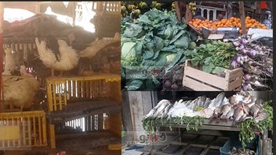 «طالع نازل» في أسعار السمك والدواجن والخضراوات قبل العيد.. تقرير