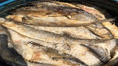 مع اقتراب شم النسيم.. الأسماك الفاسدة تغزو المحافظات.. ضبط 200 كيلو فسيخ ورنجة غير صالحة للاستخدام بالإسكندرية.. حملة بالغربية تسفر عن مصادرة 50 صندوقا.. و300 كيلو غير صالحين بدمياط