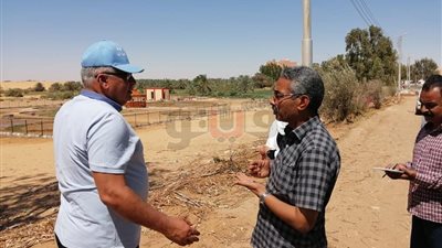 إنشاء مشروع ترفيهي إنتاجي على مساحة 2000 متر بالوادي الجديد