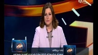 بالفيديو.. باحث أمريكي: اعتبار الإخوان « معتدلين» نظرية فاشلة