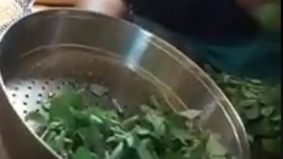 أسهل طريقة لتقطيف الملوخية (فيديو)