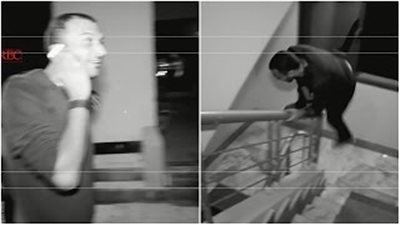 بالفيديو.. شاهد ماذا فعل إبراهيم سعيد لحظة هروب جمال حمزة من «المشاغب»