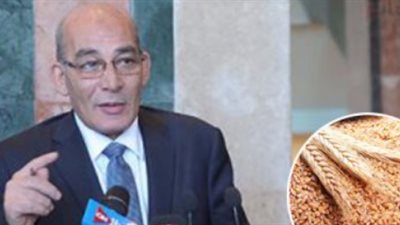 خفض 50% من ثمن تقاوي القمح والشعير لأهالي مطروح للموسم الجديد