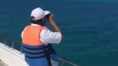 بالفيديو.. «البيئة»: عمليات مسح شاملة لمناطق ظهور «حوت الساحل الشمالي»