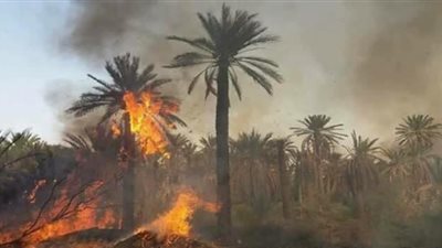 محافظ أسوان يحيل المتسببين في حريق كوم أمبو للتحقيق (صور)