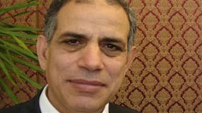 سفير مصر بالتشيك يشرح لرئيس مجلس الشيوخ خارطة الطريق