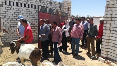 محافظ الوادي الجديد يتفقد مشروعا لتربية ماعز «البور» (صور)