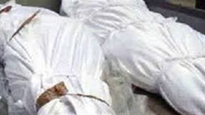 التحقيق في العثور على جثتين لسيدة ونجلها بعين شمس