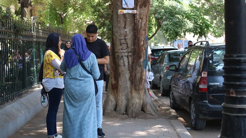 فيتو