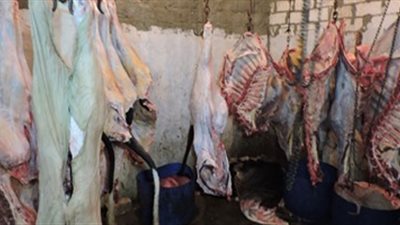 ضبط 150 كيلو لحوم بأختام مغشوشة بأحد أكبر منافذ البيع ببورسعيد